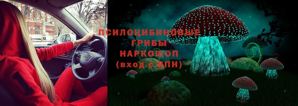 героин Покачи