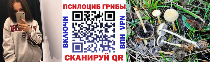 закладка Пудож Псилоцибиновые грибы ЛСД